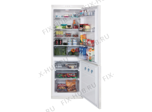 Холодильник Upo RF111 (377462, HZS35664) - Фото